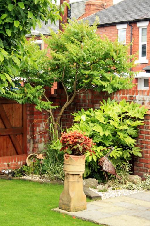 Laurels Bed & Breakfast Oswestry Bagian luar foto