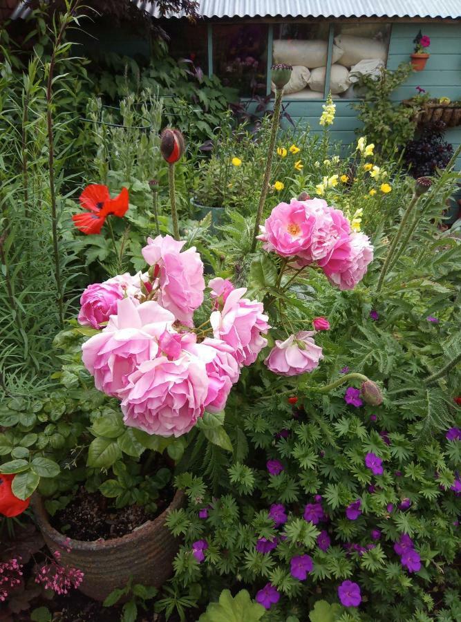 Laurels Bed & Breakfast Oswestry Bagian luar foto